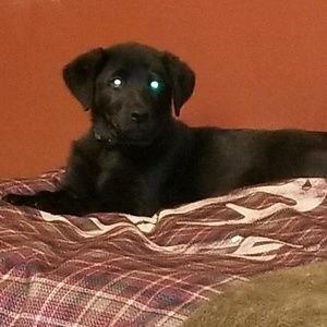 Meet your Posher, Rene